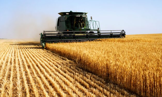 Un premier conseil canadien de la jeunesse agricole