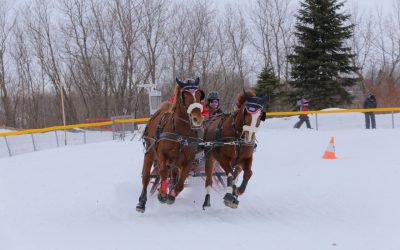 Warwick hôte d&rsquo;un derby et du Bal des joues rouges les 15 et 16 février