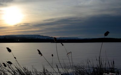 activités en pause pour la corporation de développement de l&rsquo;étang burbank