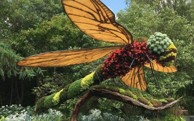 Le Parc Marie-Victorin de Kingsey Falls adapte son offre