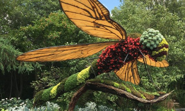 Le Parc Marie-Victorin de Kingsey Falls adapte son offre