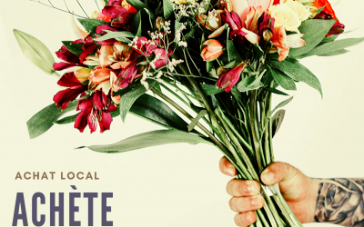 une plateforme transactionnelle pour les entreprises de la mrc des sources