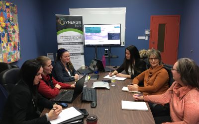 Projet-pilote novateur dans la MRC des Sources