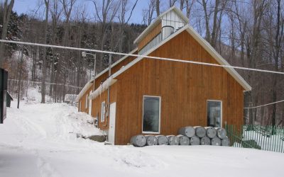 Une récolte de sirop d&rsquo;érable exceptionnelle