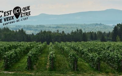 Tourisme Cantons-de-l&rsquo;Est lance sa saison estivale