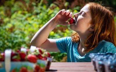 Une vidéo pour la promotion des producteurs agricoles et maraîchers de la région