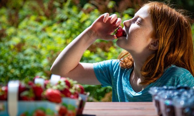 Une vidéo pour la promotion des producteurs agricoles et maraîchers de la région