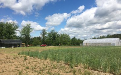 Québec soutient l’Estrie, 902 000 $ pour le territoire