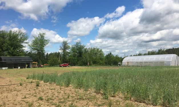 Québec soutient l’Estrie, 902 000 $ pour le territoire