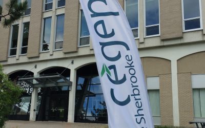 Les étudiants du Cégep de Sherbrooke en grève