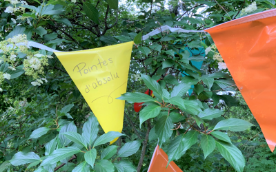 Une activité collective dans la MRC d’Arthabaska