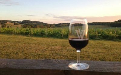 Des honneurs pour des vignobles d’ici