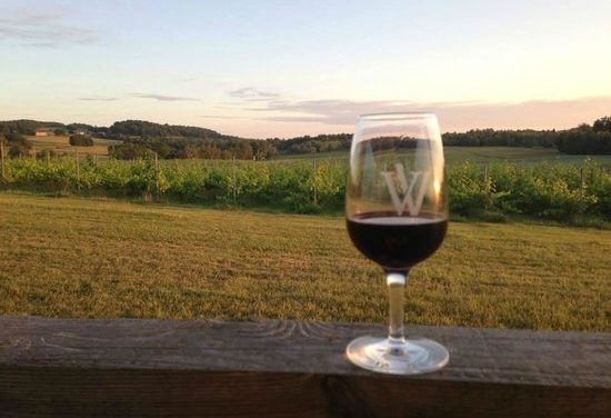 Des honneurs pour des vignobles d’ici