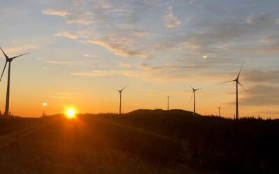 Boralex propriétaire de trois parcs éoliens au Québec