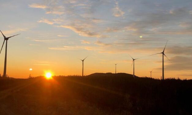 Boralex propriétaire de trois parcs éoliens au Québec