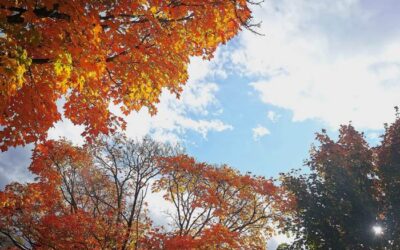 Belle réponse pour le concours photos de Tourisme des Sources