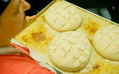 La MRC d’Arthabaska propose un événement virtuel pour les acteurs du système alimentaire