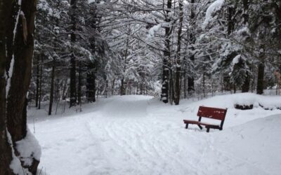 LA GRANDE MARCHE SOUS ZÉRO : les Sentiers 4 Saisons sont prêts à recevoir les marcheurs