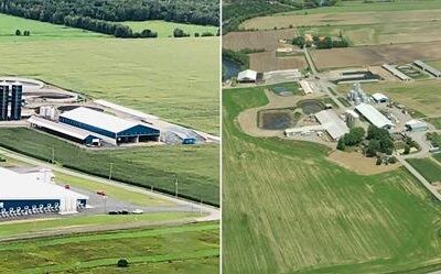 Le BAPE favorable aux projets d’expansion de deux fermes de St-Albert
