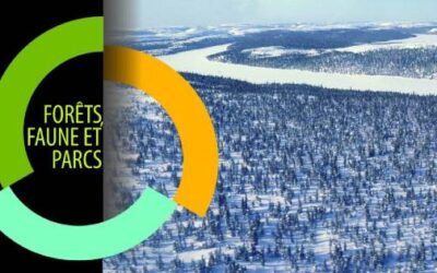 Bonne nouvelle pour les chasseurs et piégeurs