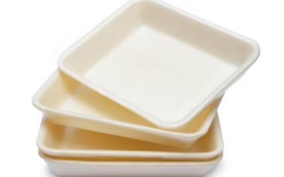 La MRC du Val-St-François se dote d’un plan de gestion du polystyrène sur trois ans