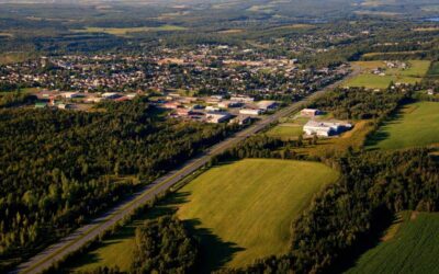 Deux marcheuses mordues à Val-des-Sources : Les chiens évitent l&rsquo;euthanasie