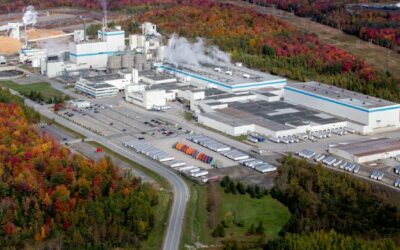 La vente de Domtar à Paper Excellence approuvée par les actionnaires