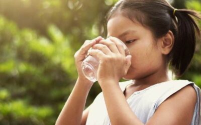 La vigileance est de mise avec des températures très chaudes
