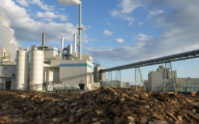 L&rsquo;identité des deux travailleurs décédés chez Domtar confirmée: L&rsquo;enquête se poursuit