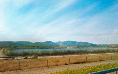 Un premier parc solaire flottant en France pour Boralex