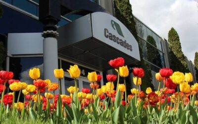 Cascades se démarque à nouveau