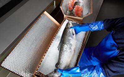 Plan d&rsquo;expansion pour Cascades dans le marché de l’emballage isotherme