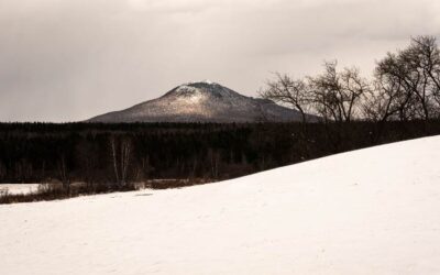 Un nouveau schéma d’aménagement et de développement durable pour la MRC des Sources