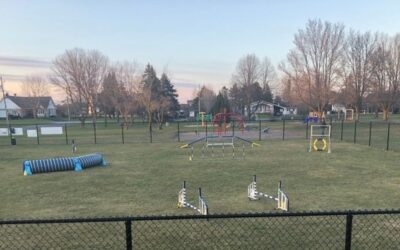 Entrevue : Alain St-Pierre, un nouveau parc canin à Saint-Albert