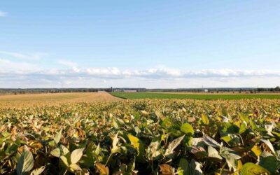 Plus de 1,3 million $ pour le secteur bioalimentaire en Estrie
