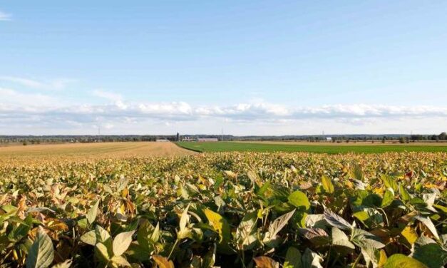 Plus de 1,3 million $ pour le secteur bioalimentaire en Estrie