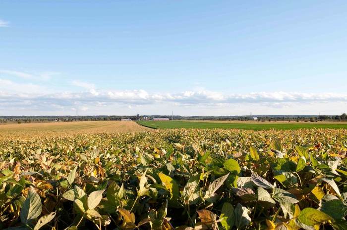 Plus de 1,3 million $ pour le secteur bioalimentaire en Estrie