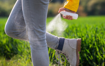 La maladie de Lyme sous surveillance en Estrie