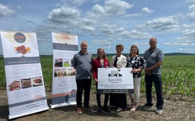 Une nouvelle plateforme verra le jour pour faciliter le travail des producteurs ovins