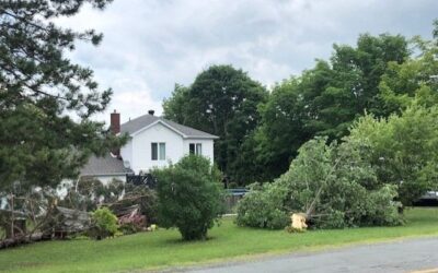 Pannes de courant et arbres tombés à Val-des-Sources