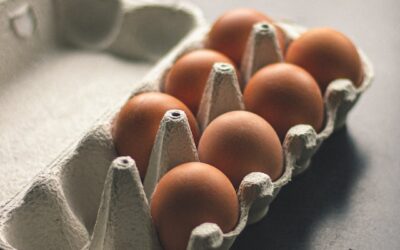 Prince Œuf touché par la grippe aviaire au Centre-du-Québec