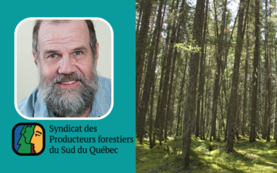 Entrevue : André Roy, président du Syndicat des producteurs forestiers du Sud du Québec