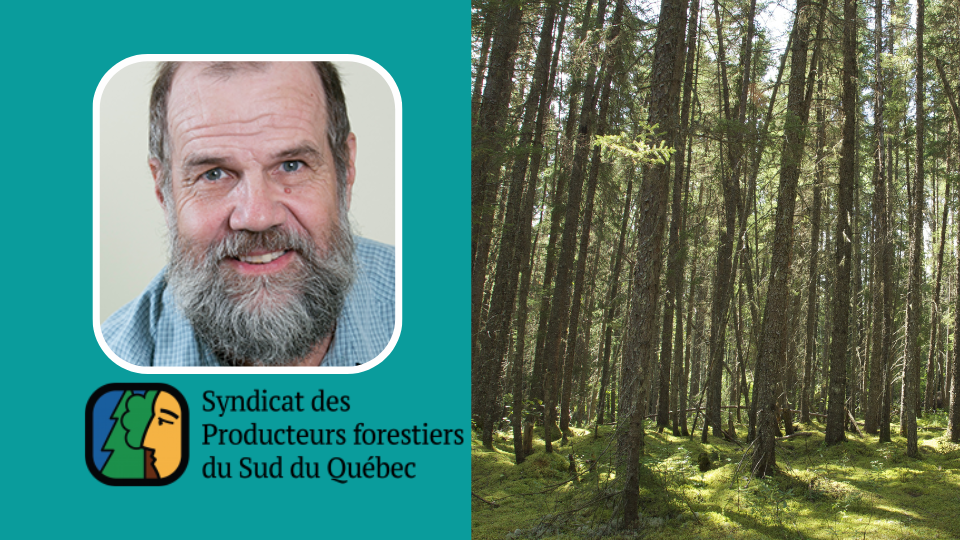 Entrevue : André Roy, président du Syndicat des producteurs forestiers du Sud du Québec