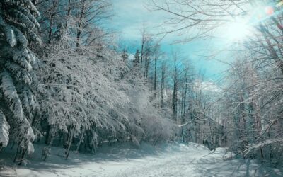 Froid intense : appel à la prudence du CIUSSS de l’Estrie-CHUS