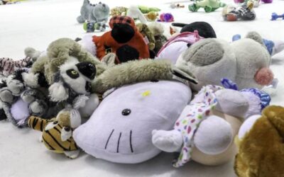 Collecte de peluches et de denrées lors du match du Desjardins-Wild à Windsor