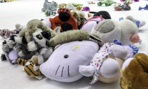 Collecte de peluches et de denrées lors du match du Desjardins-Wild à Windsor