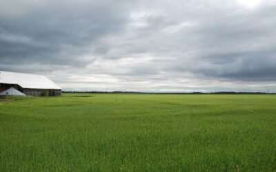 Des actions concrètes demandées par la relève face à l&rsquo;augmentation du prix des terres agricoles