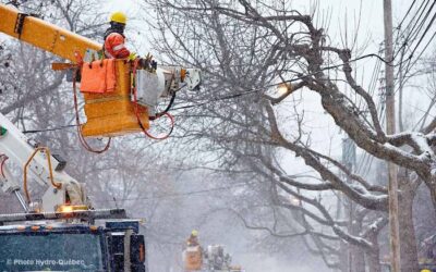 Plusieurs abonnés de l&rsquo;Estrie et du Centre-du-Québec privés de courant
