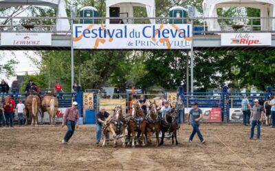 Une programmation haute en couleur pour le festival du Cheval de Princeville