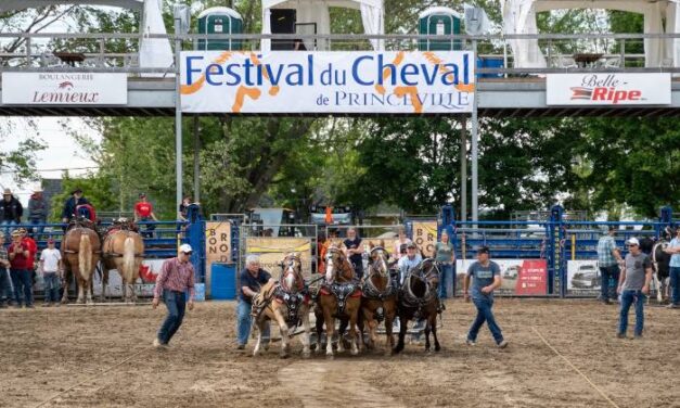 Une programmation haute en couleur pour le festival du Cheval de Princeville